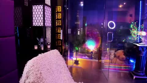 Snapshot of alma_pearl chatting on May 17, 9:38 am Alma online show from May 17, 9:38 am