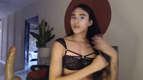 STEPHAN  online show from December 16, 11:59 am