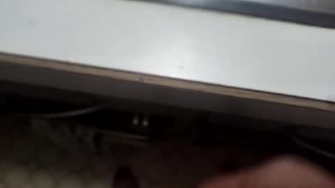 Snapshot of alostmale chatting on December 8, 10:52 am alostmale online show from December 8, 10:52 am