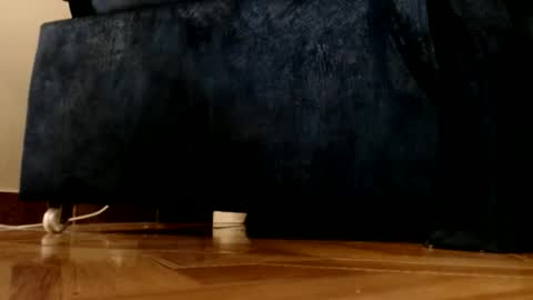 ur god online show from March 1, 12:12 am