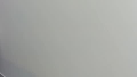 Alvin Daley online show from November 14, 10:47 am