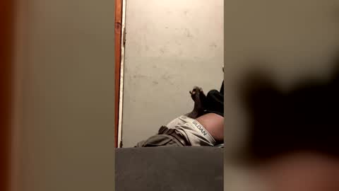 Snapshot of alwayshorny240177 chatting on February 13, 4:47 pm alwayshorny240177 online show from February 13, 4:47 pm