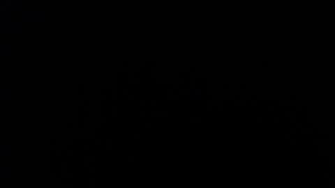 Amarantha online show from January 10, 1:09 pm