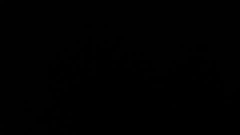 Amarantha online show from January 19, 1:55 pm