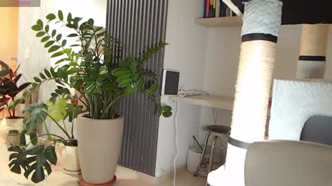 Snapshot of ambarhill chatting on January 22, 4:02 am Ambar online show from January 22, 4:02 am