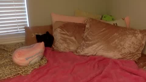 Amber 3 online show from September 14, 3:22 pm