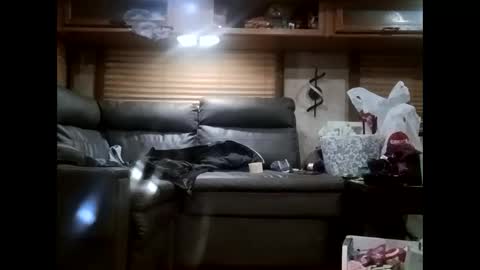 ambionce online show from October 21, 7:31 am