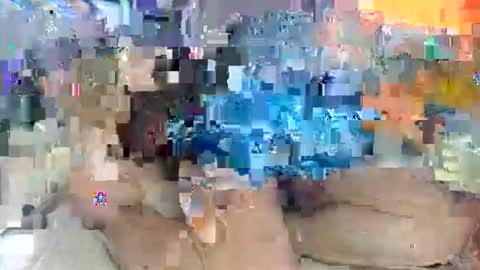 Amuy online show from February 1, 5:17 am