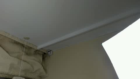 amy online show from March 18, 12:08 pm