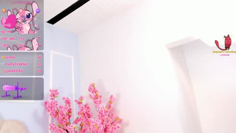 Amykord online show from January 19, 2:47 am