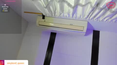 Amykord online show from September 19, 11:33 am