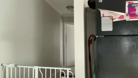 Amy Smilez online show from December 17, 5:30 pm