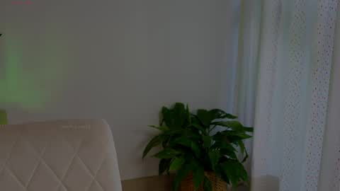 Snapshot of anabelcurvy chatting on May 13, 6:38 pm anabelcurvy online show from May 13, 6:38 pm