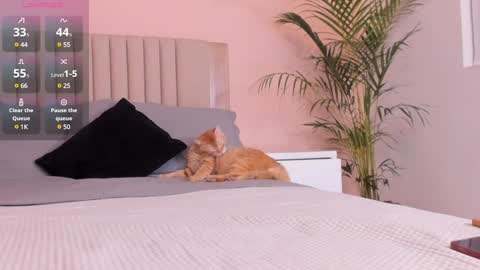 Ana Henao or Annie... Follow me ahenaocb Insta  X online show from February 1, 12:40 am