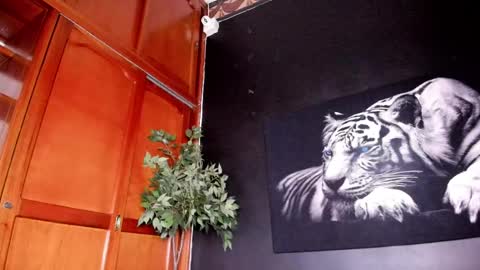 Snapshot of anahi__18 chatting on February 22, 4:40 am Anahi online show from February 22, 4:40 am