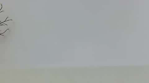 anaid_blaze2 online show from November 10, 1:54 pm