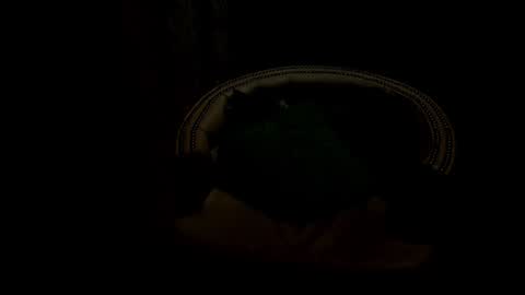 analia18  online show from January 17, 6:33 pm