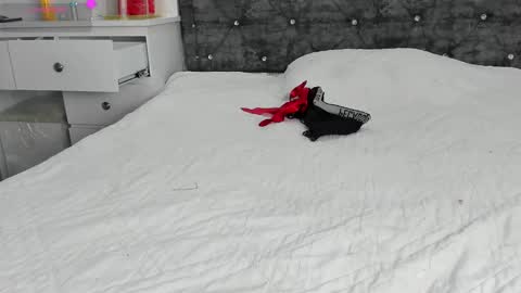  ANASTASIA DANGER  online show from January 1, 4:18 pm