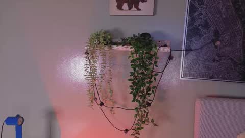 Snapshot of anavicc__ chatting on February 20, 10:16 am Kendra online show from February 20, 10:16 am