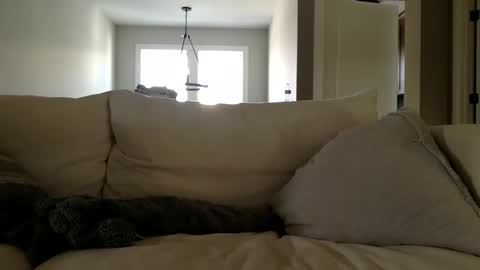 Andees222 online show from December 19, 4:36 pm