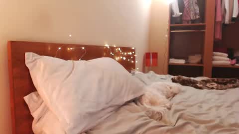 Andra online show from December 24, 6:00 am