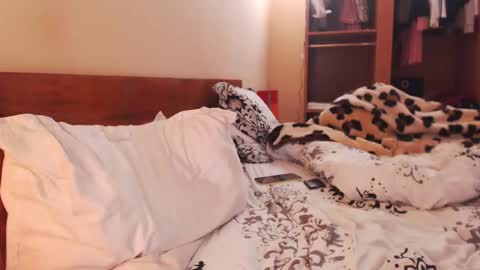 Andra online show from January 27, 8:29 am