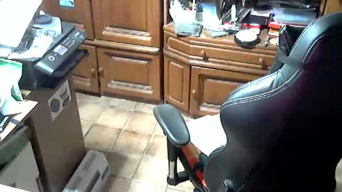 Snapshot of androgynia1 chatting on October 17, 11:57 am androgynia online show from October 17, 11:57 am