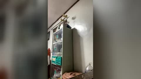 Snapshot of ange011 chatting on March 23, 6:06 am ange011 online show from March 23, 6:06 am