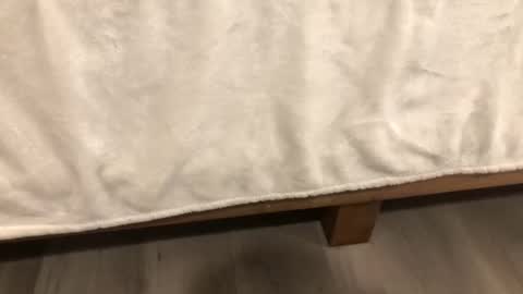 Snapshot of angeleliza0113 chatting on February 14, 6:32 am Mira13 online show from February 14, 6:32 am