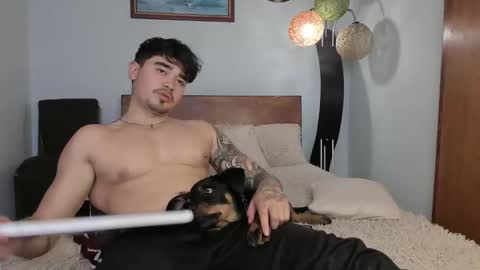 Snapshot of angelx_fox chatting on December 3, 6:17 pm Angel Fox online show from December 3, 6:17 pm