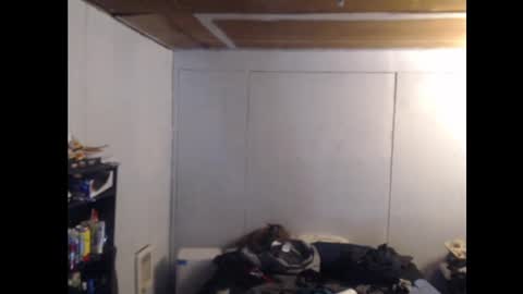 Snapshot of anilyseardor chatting on February 25, 11:08 am Ani online show from February 25, 11:08 am