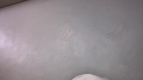 Animeboygirls online show from October 19, 6:36 am