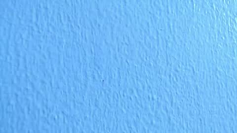 ana independent model online show from December 2, 7:03 am