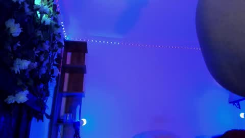 Anny online show from January 31, 7:11 pm