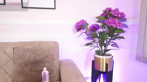 Ana online show from December 18, 12:11 pm