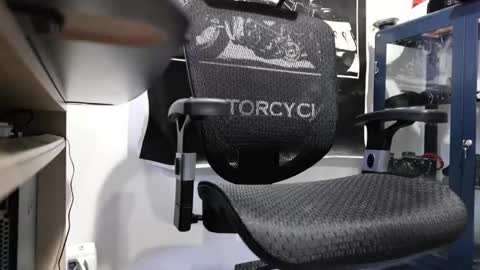 D online show from January 13, 1:49 pm