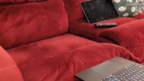 Snapshot of anonycock7 chatting on February 20, 12:05 pm D online show from February 20, 12:05 pm