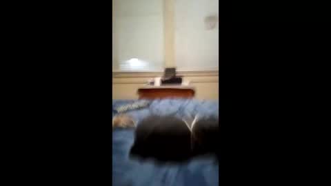 Snapshot of anthonymichael691973668762 chatting on March 3, 7:14 am anthonymichael691973668762 online show from March 3, 7:14 am