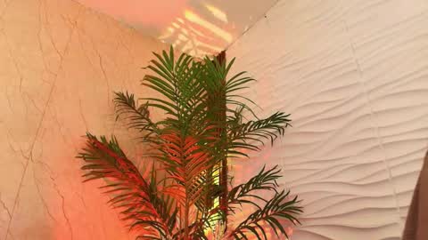 Snapshot of anton__monacu chatting on November 25, 3:50 am anton__monacu online show from November 25, 3:50 am