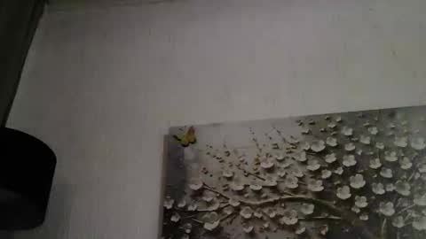 Snapshot of anybigtitts chatting on March 1, 4:42 pm AnyBigTitts online show from March 1, 4:42 pm