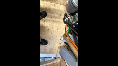 Snapshot of anyjuan chatting on September 28, 6:57 pm anyjuan online show from September 28, 6:57 pm