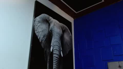 Snapshot of apolo_klein1 chatting on February 11, 8:48 am Apolo online show from February 11, 8:48 am