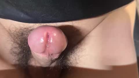 apple2761 online show from April 1, 1:41 pm