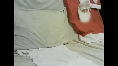 arabtrans2025 online show from January 17, 7:27 pm