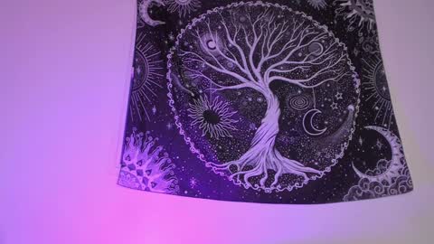 Aram 3 online show from January 27, 6:41 am