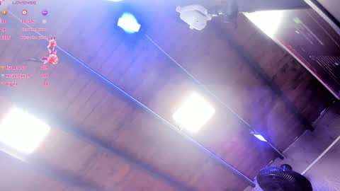 ARI  online show from January 29, 11:41 am