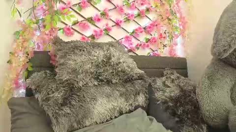 aria_silk online show from June 28, 2:23 pm