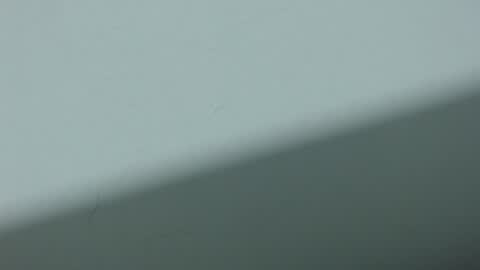 ...Ariana... online show from October 20, 3:29 am