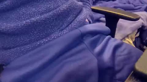 arky1988 online show from December 20, 12:51 am