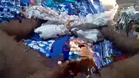 arshkhant987 online show from September 16, 5:41 am